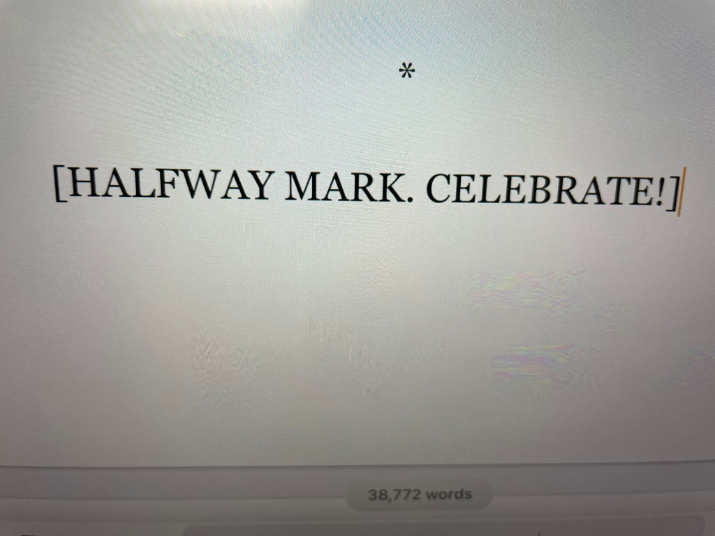 Picture of computer screen, detail, showing text: [HALFWAY MARK. CELEBRATE!]